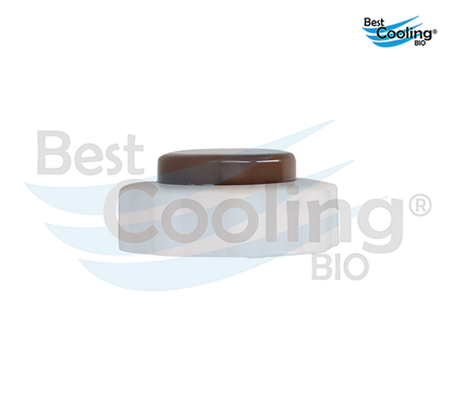 DEPÓSITO DE ANTICONGELANTE NISSAN PLATINA 1.6L 2002-2010 APRIO 1.6L 2008-2010 RENAULT CLIO 1.6L 2002-2008 RENAULT TRUCK STEPWAY 1.6L 2010-2020 SANDERO 1.6L 2010-2020 BEST COOLING