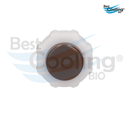 DEPÓSITO DE ANTICONGELANTE NISSAN PLATINA 1.6L 2002-2010 APRIO 1.6L 2008-2010 RENAULT CLIO 1.6L 2002-2008 RENAULT TRUCK STEPWAY 1.6L 2010-2020 SANDERO 1.6L 2010-2020 BEST COOLING