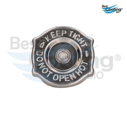 DEPÓSITO DE ANTICONGELANTE JEEP LIBERTY V6 3.7L 2002-2006 BEST COOLING