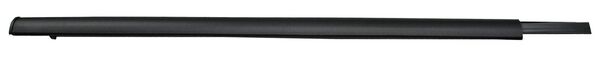 MOLDURA CANUELA PTA EXT FORD PICKUP 2004-2010 TRASERO IZQUIERDA TYG