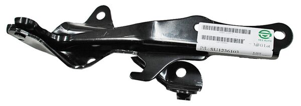 BISAGRA DE COFRE RENAULT EURO CLIO 2007-2009 DERECHA TYG