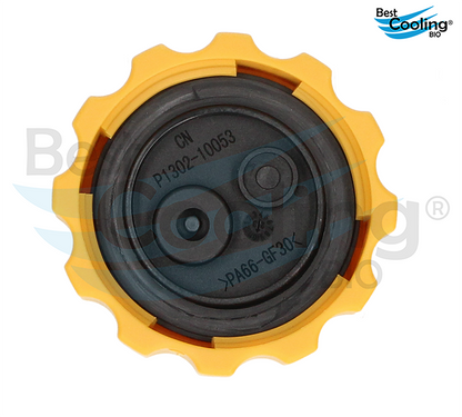 DEPÓSITO DE ANTICONGELANTE CHEVROLET MATIZ G2 1.0L 2006-2015 BEST COOLING