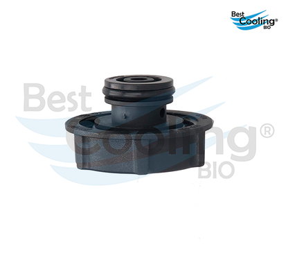 DEPÓSITO DE ANTICONGELANTE FORD FIESTA 1.6L 2011-2019 FORD TRUCK ECOSPORT 2.0L 2013-2020 FORD FIGO 1.5L 2016-2018 BEST COOLING