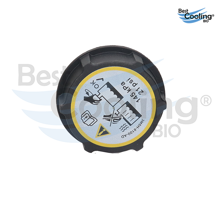 DEPÓSITO DE ANTICONGELANTE FORD FIESTA 1.6L 2011-2019 FORD TRUCK ECOSPORT 2.0L 2013-2020 FORD FIGO 1.5L 2016-2018 BEST COOLING