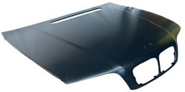 COFRE BMW SERIE 3 1999-2002 4P TYG