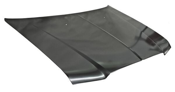 COFRE METAL DODGE CHRYSLER 300 6 CIL / 300C 2005-2010 TYG