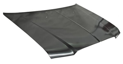 COFRE METAL DODGE CHRYSLER 300 6 CIL / 300C 2005-2010 TYG