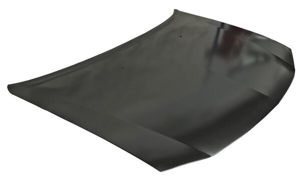 COFRE METAL DODGE CHARGER 2006-2010 TYG