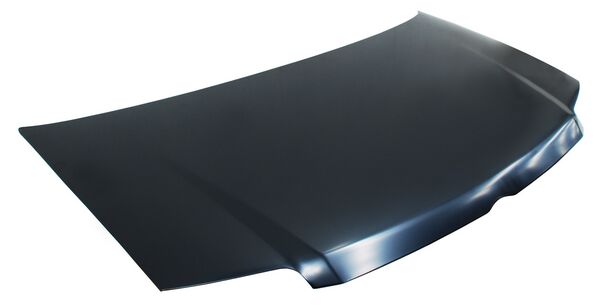 COFRE FIAT PANDA 2007-2012 TYG