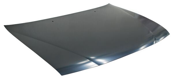COFRE NISSAN SENTRA 1996-2000 / LUCINO 1996-1998 MS TYG