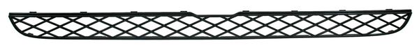 PARRILLA SUPERIOR CENTRAL BMW X5 2007-2010 TYG